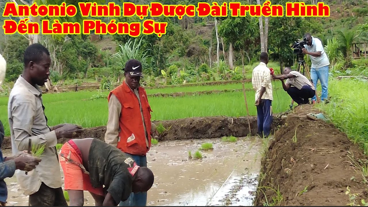 Gia đình Antonio Được Đài Truyền Hình Đến Quay Phóng Sự || Tony Phong cuộc sống Châu Phi