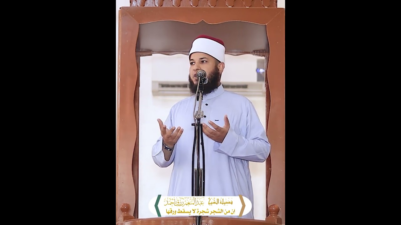 إن من الشجر شجرة لا يسقط ورقها 