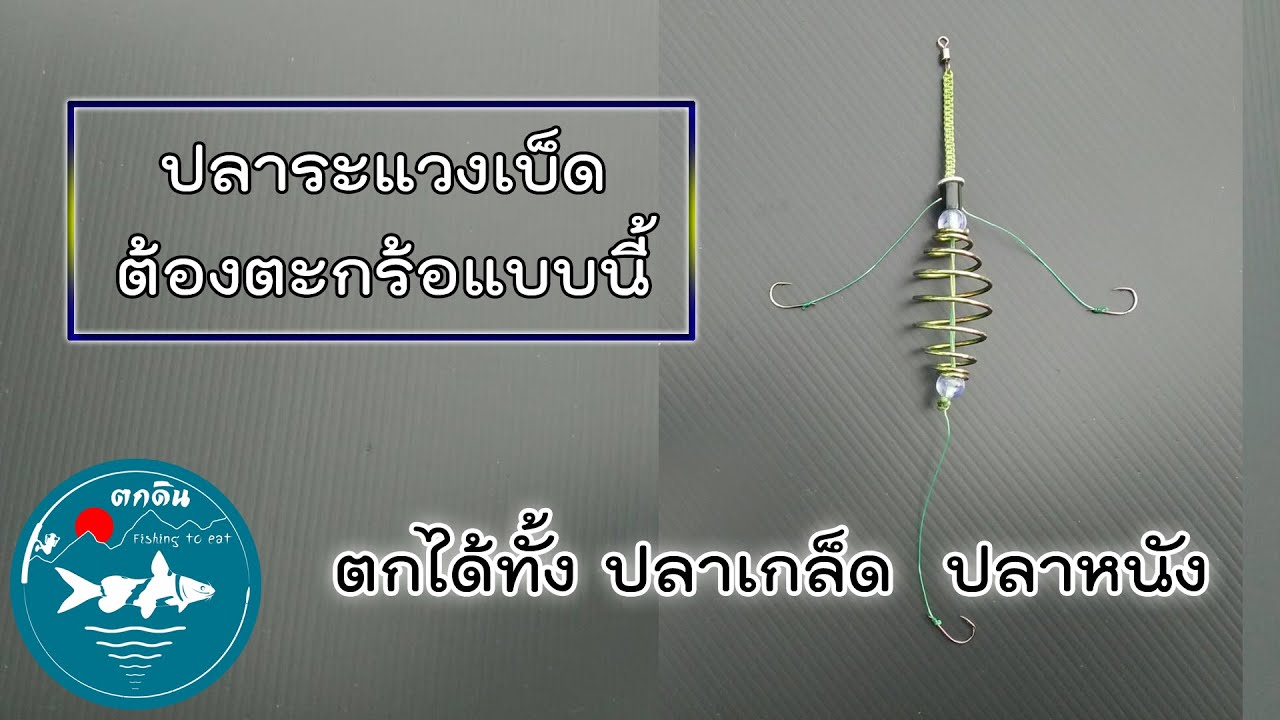 EP.33_🌎ผูกตะกร้อตกปลาหน้าดิน🐟ปลาเกล็ดกินไม่ระแวง🐳ปลาหนังก็แข็งแรง [ ตกดิน fishing to eat ]