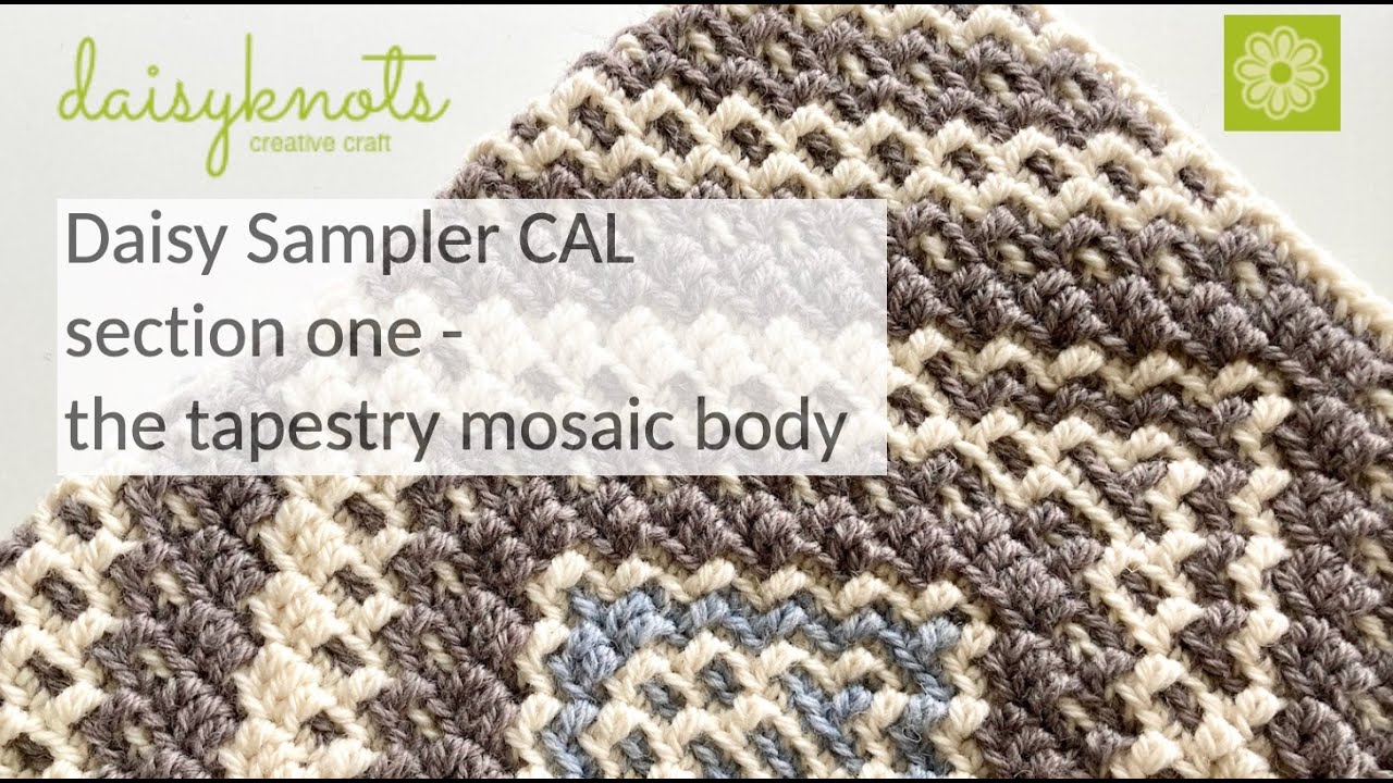 The Daisy Sampler, Section One (Tapestry Mosaic Body)