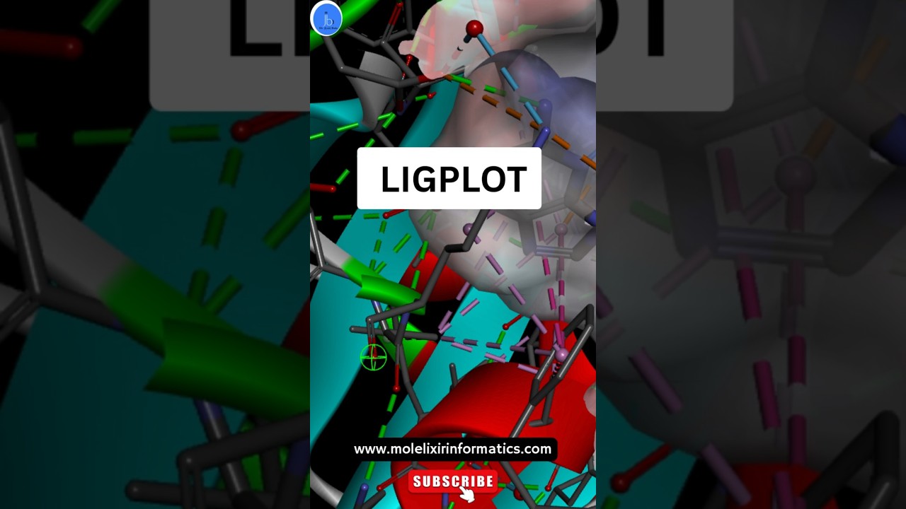 LigPlot: простая визуализация взаимодействий белок-лиганд | Биоинформатический инструмент для пои...