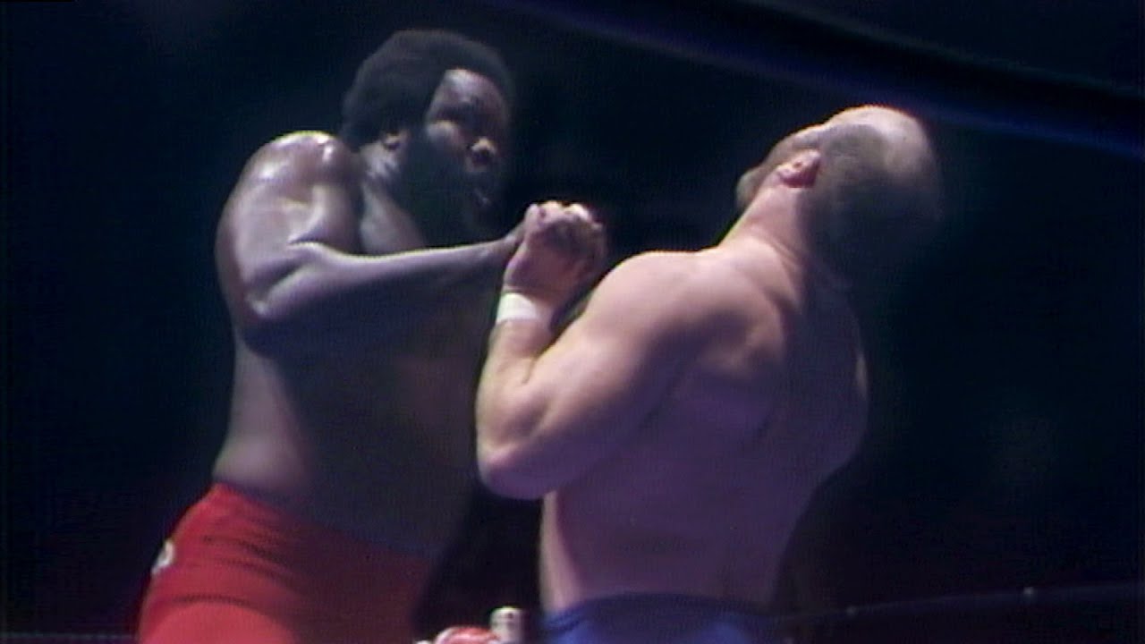 Junkyard Dog sinks his teeth into 