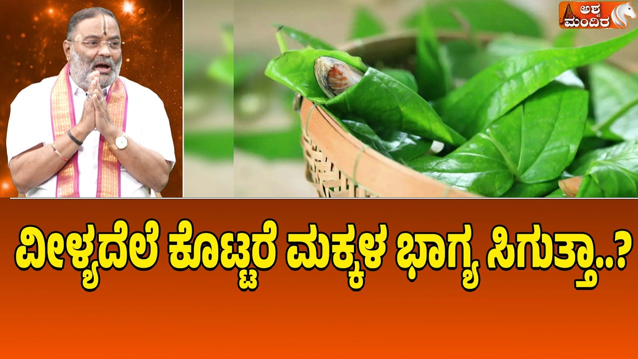 ವೀಳ್ಯದೆಲೆ ಕೊಟ್ಟರೆ ಮಕ್ಕಳ ಭಾಗ್ಯ ಸಿಗುತ್ತಾ?| Betel Leaf Plant Benefits  Explianed byThamirabarani Guruji