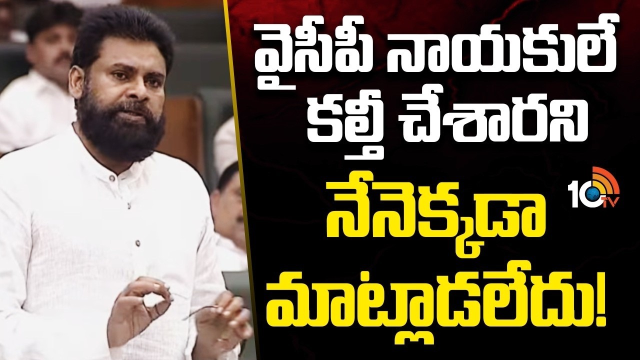 Pawan Kalyan Shocking Comments | వైసీపీ నాయకులే కల్తీ చేశారని నేనెక్కడా మాట్లాడలేదు! | TTD Fake Ghee
