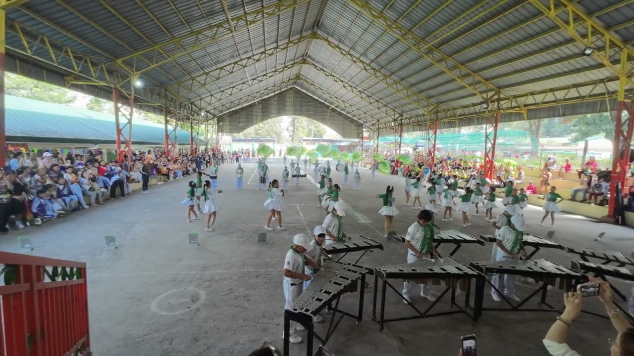 MLQ SCHOOL Drum and Lyre - Show-and-Do - District Drum and Lyre Competition
