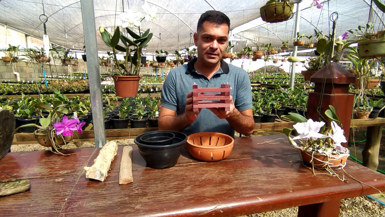 Tipos de substratos e vasos para suas orquídeas.