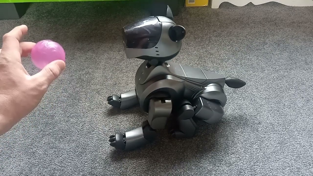 Sony aibo ers-210 start up and playing with aibo explorer software installed 