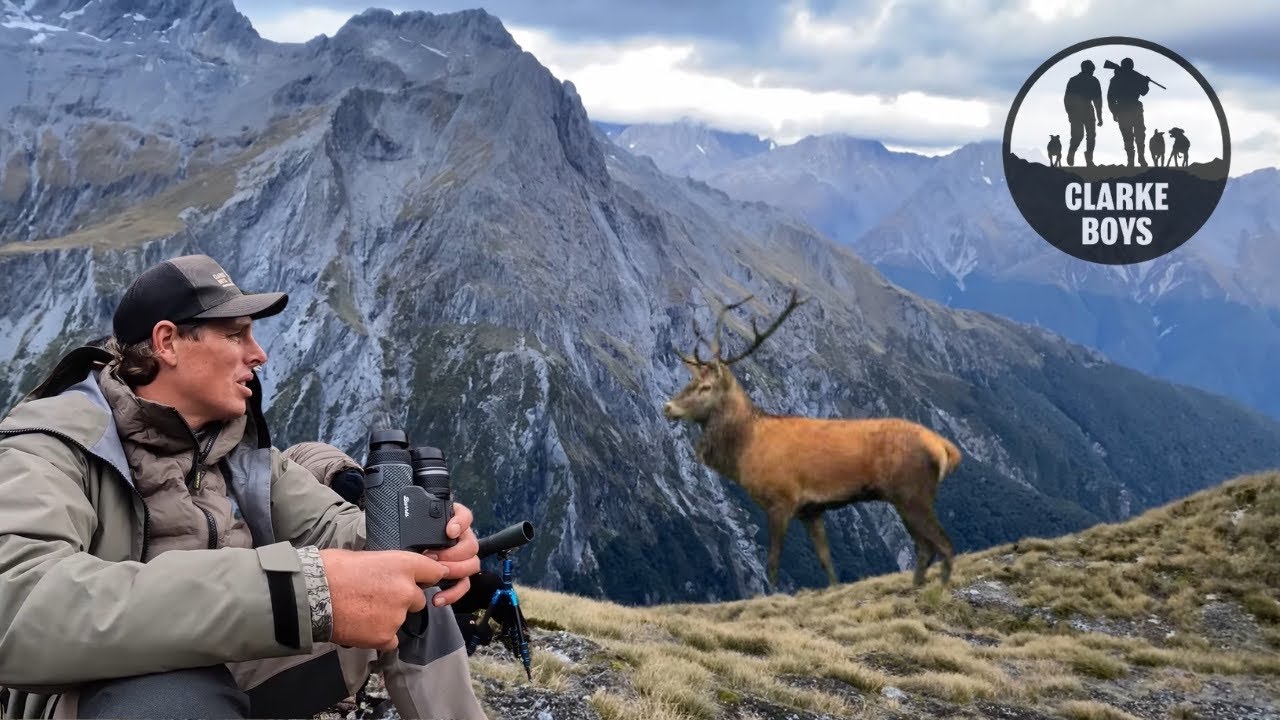 STAG VALLEY! Mountain hunt in New Zealand&rsquo;s public land. PART 1