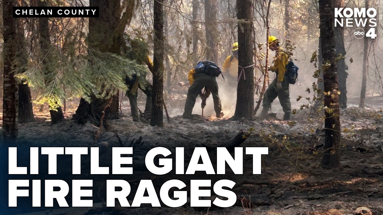 Площадь пожара Little Giant приближается к 150 000 акров; под угрозой более 6 000 построек