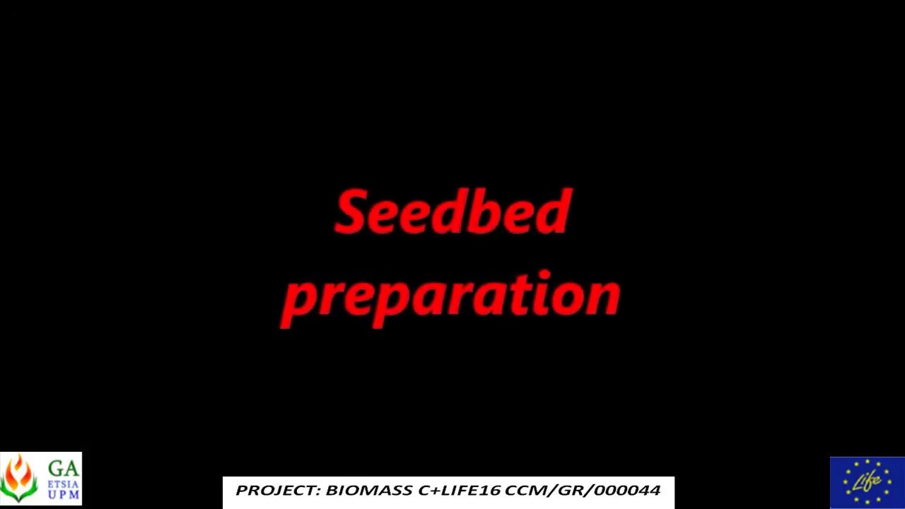 Seedbed preparation
