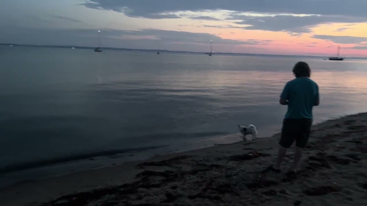 Aftenstemning over Øresund set fra Hveen