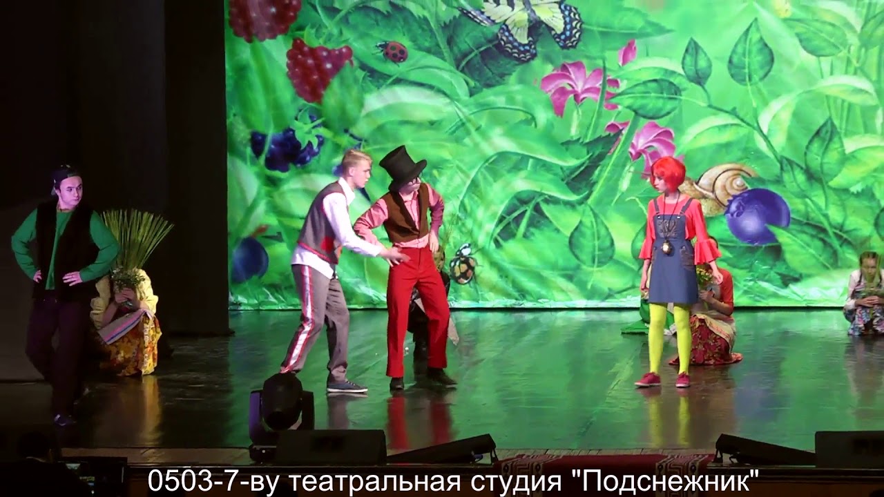 уч.номер 0503-7-ву Театральная студия «Подснежник»