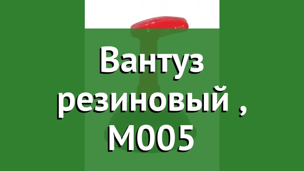 Вантуз резиновый (Альтернатива), М005 обзор 49926 производитель Альтернатива ООО ЗПИ (Россия)