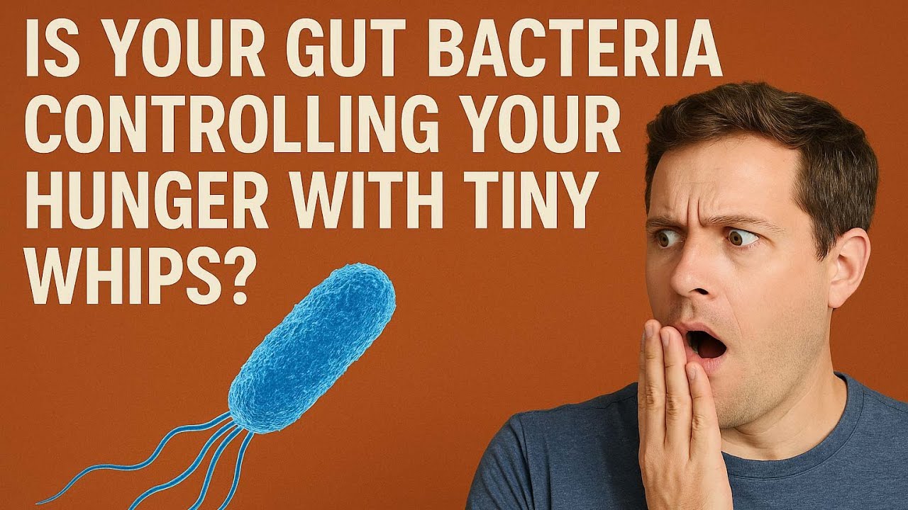 IBD, Cravings, Mood Swings&mdash;Blame the Flagella!Flagellin&rsquo;s not just waving&mdash;it&rsquo;s hijacking your health