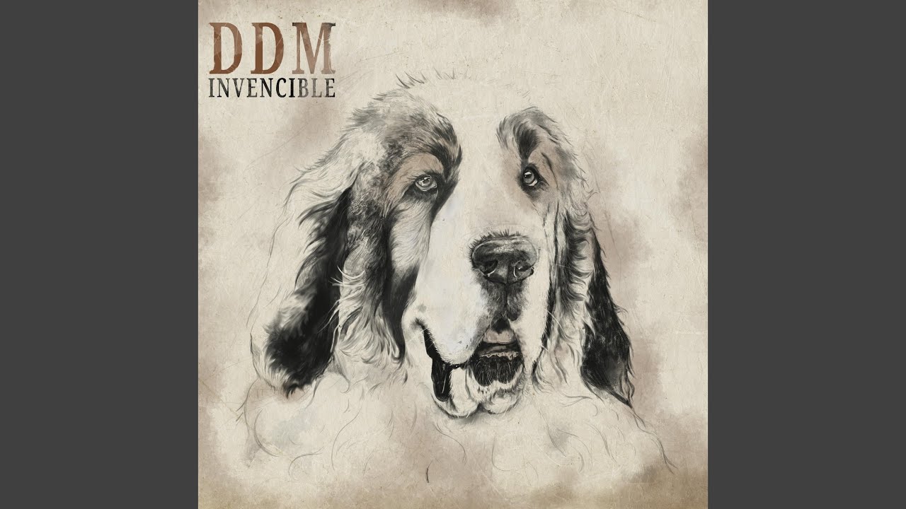 Invencible Interlude II