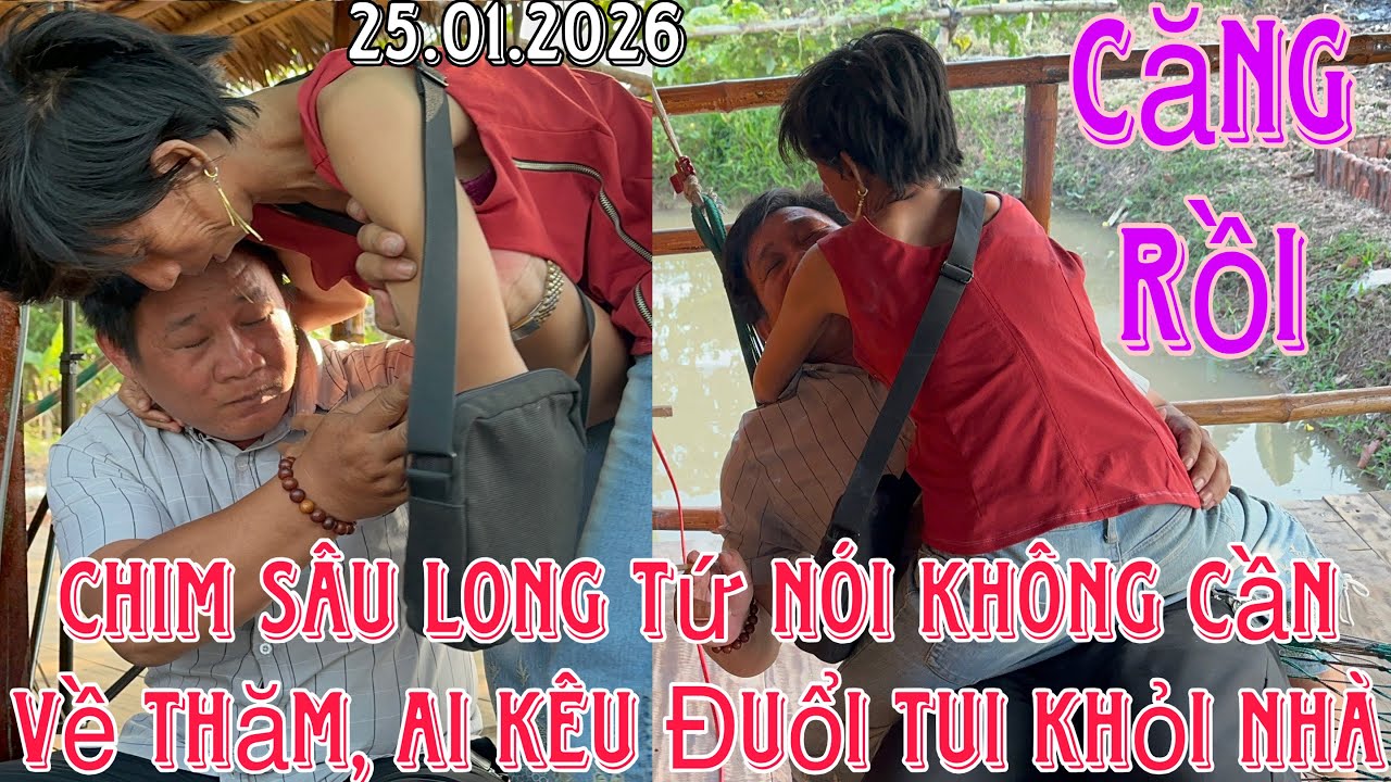 Chim Sâu Không Cho Long Tứ Về Thăm Ông Bà Út #thinhhanh #mientay #giaitri #giadinh 