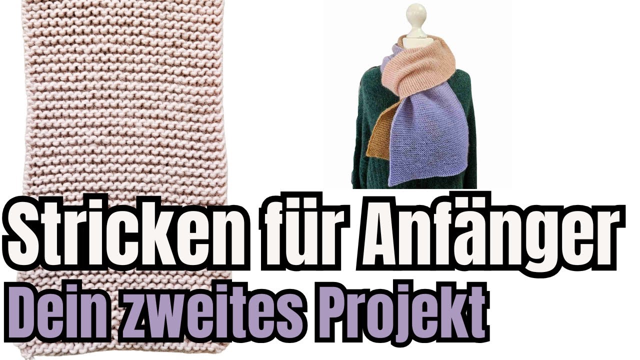 Dein zweites Anfänger Projekt - Video Tutorial