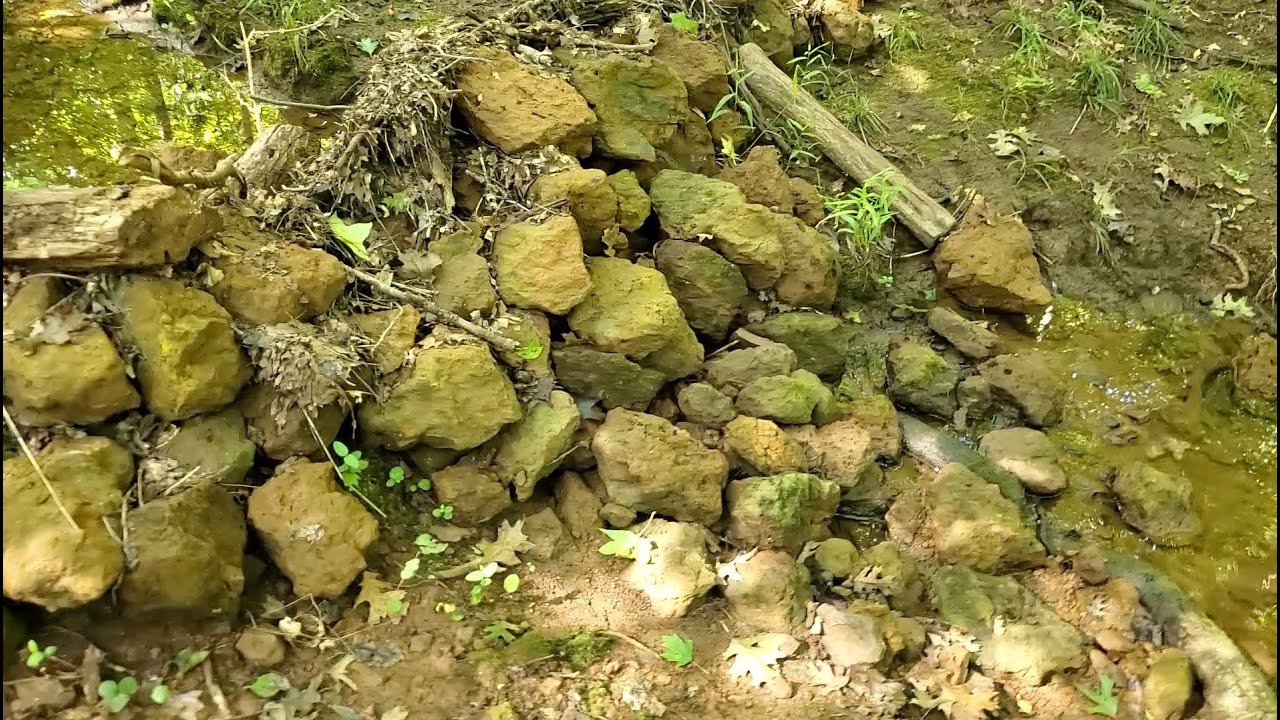 Video #5 -  Rock Dam along Pig Creek