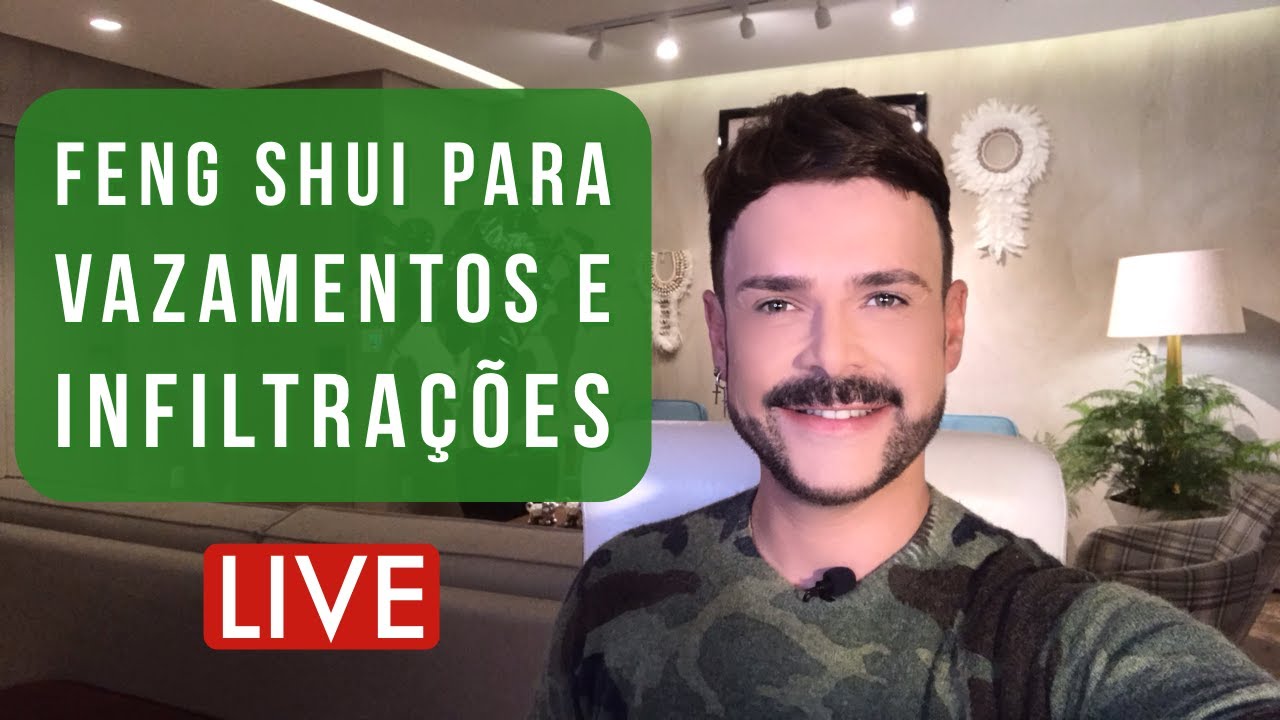 VAZAMENTOS E INFILTRAÇÕES: SOLUÇÕES PRÁTICAS COM FENG SHUI/ LUIZ NETTO