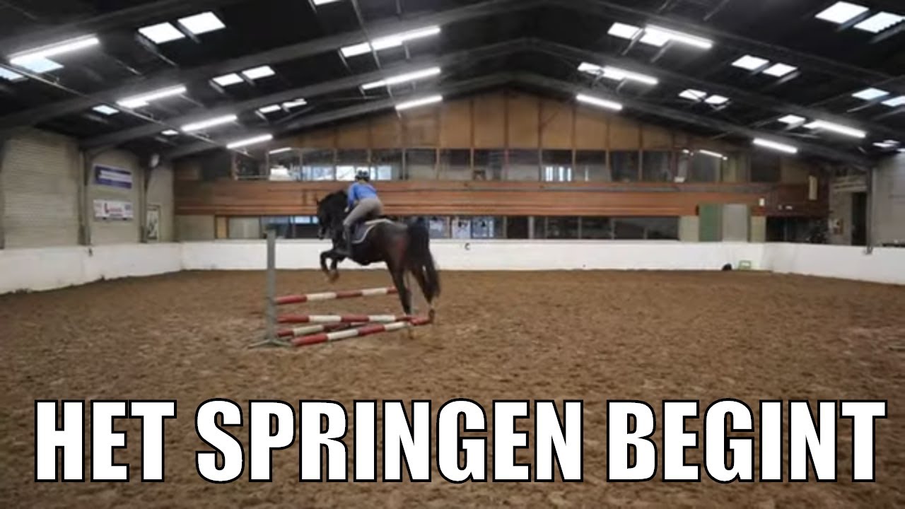 EERSTE KEER SPRINGEN MET NIEUW PAARD EN MET KRUIMEL SPRINGTRAINING | PAARDRIJDEN MET PLEZIER