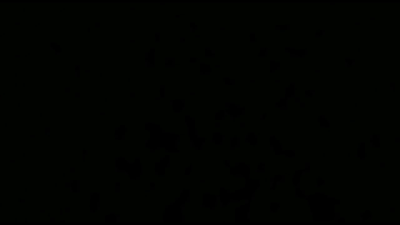 BB-Track-11