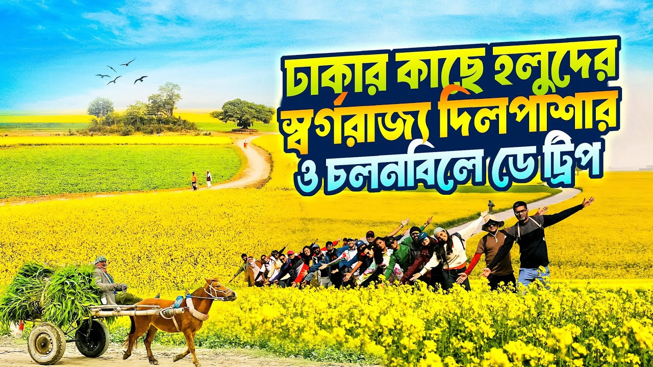 হলুদ সরিষা ফুলের রাজ্য দিলপাশার আর চলনবিলে ডে ট্রিপ 🏵️| ঢাকার কাছে সরিষা ক্ষেত | Day Trip near Dhaka