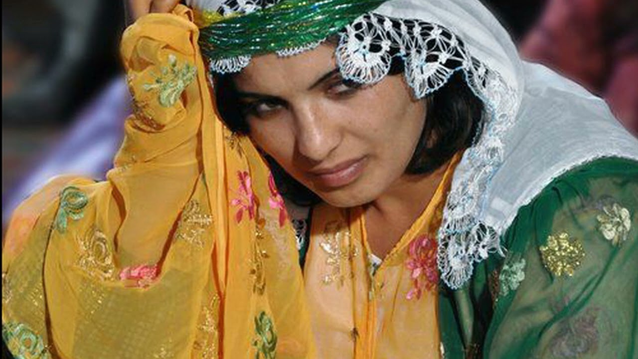 Mahmûdê Hesê-elîyê daman begê