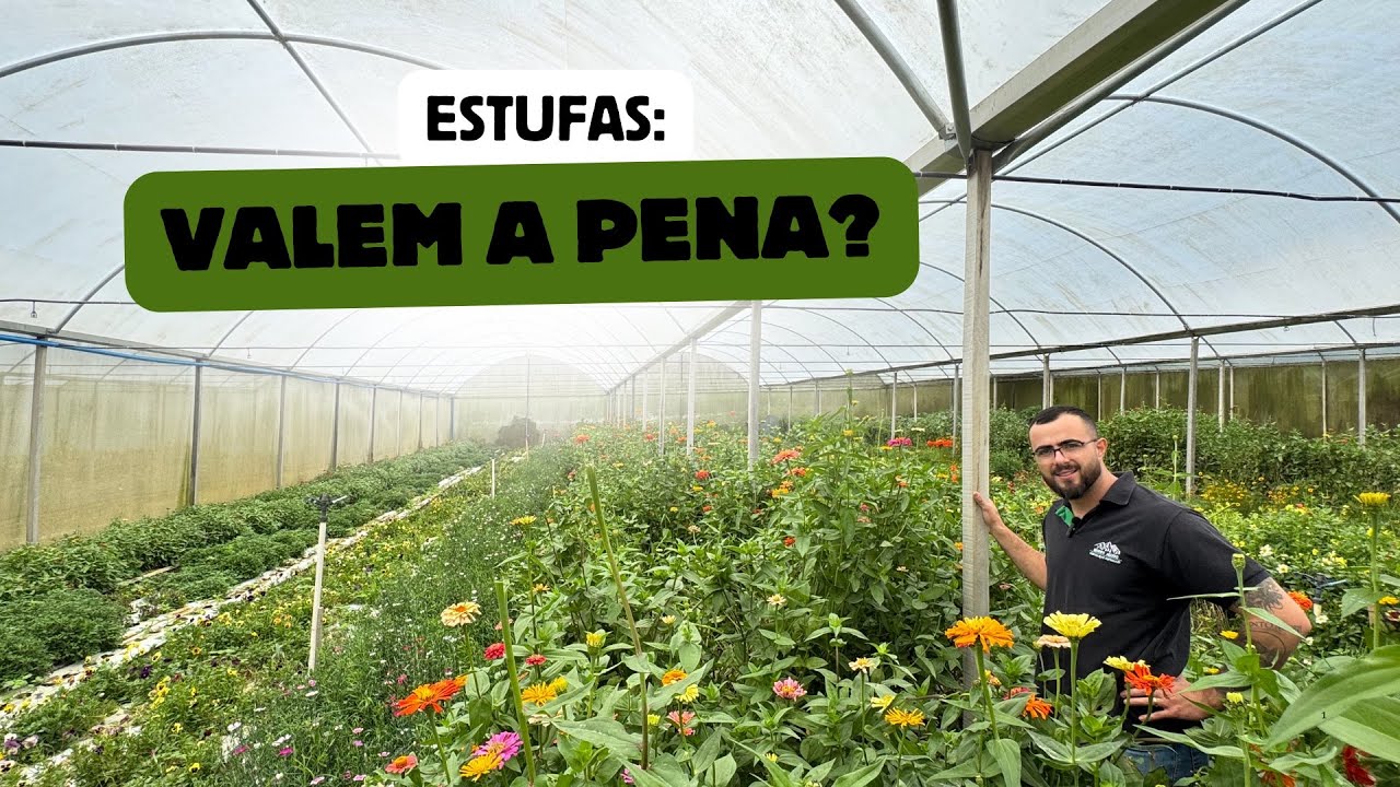Pontos positivos e negativos de ter uma estufa