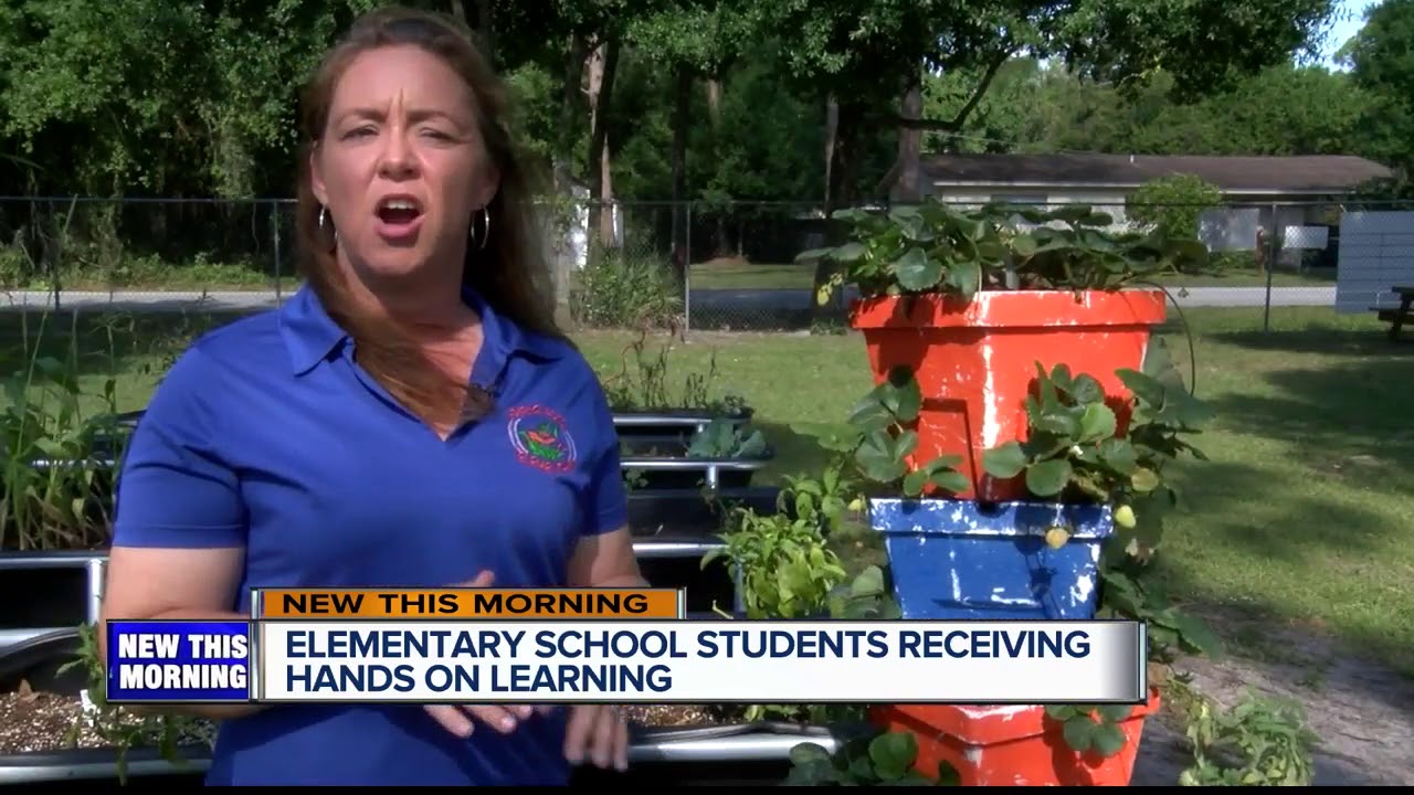 Okeechobee County offers agriculture program to elementary students