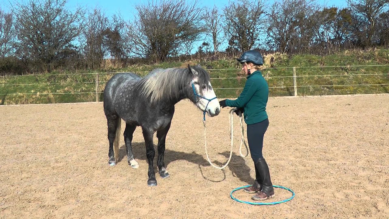 Emma Massingale – Handling and personal space