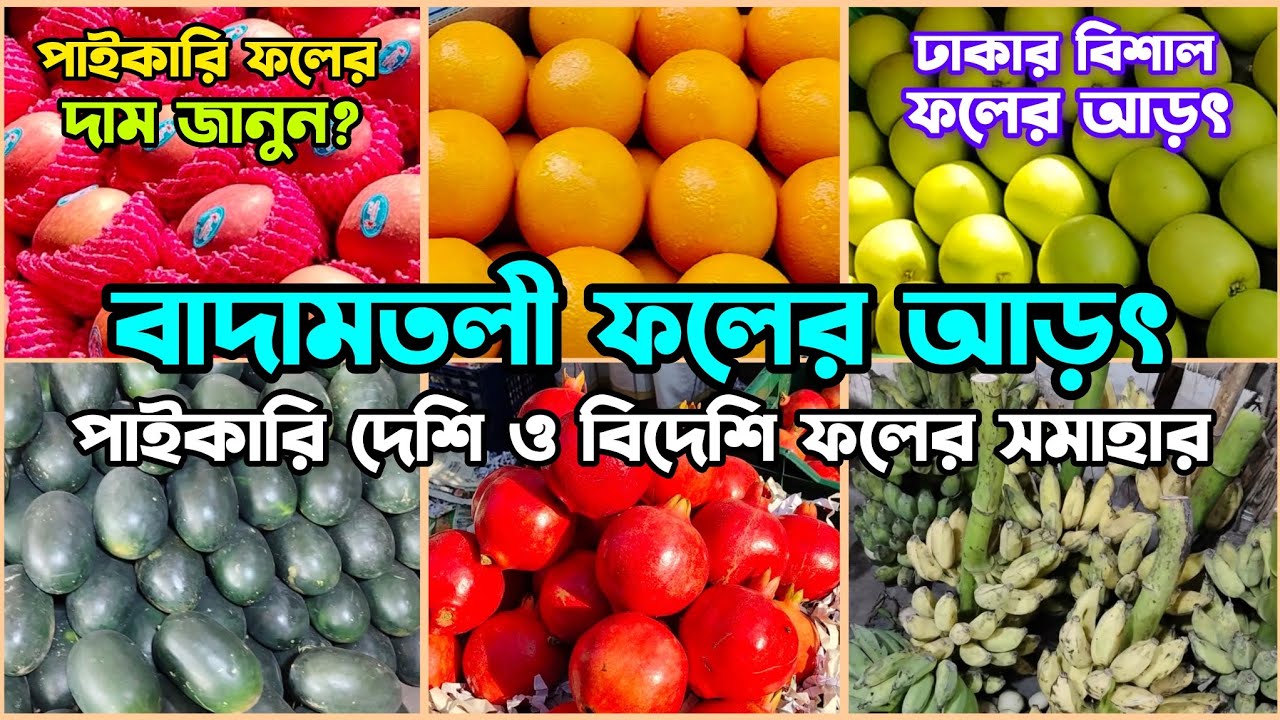 বাদামতলী ফলের আড়ৎ | আড়ত থেকে ট্রাকে নিলামে পাইকারি ফলের দাম জানুন? পাইকারদের সাথে আলোচনা #বাদামতলী