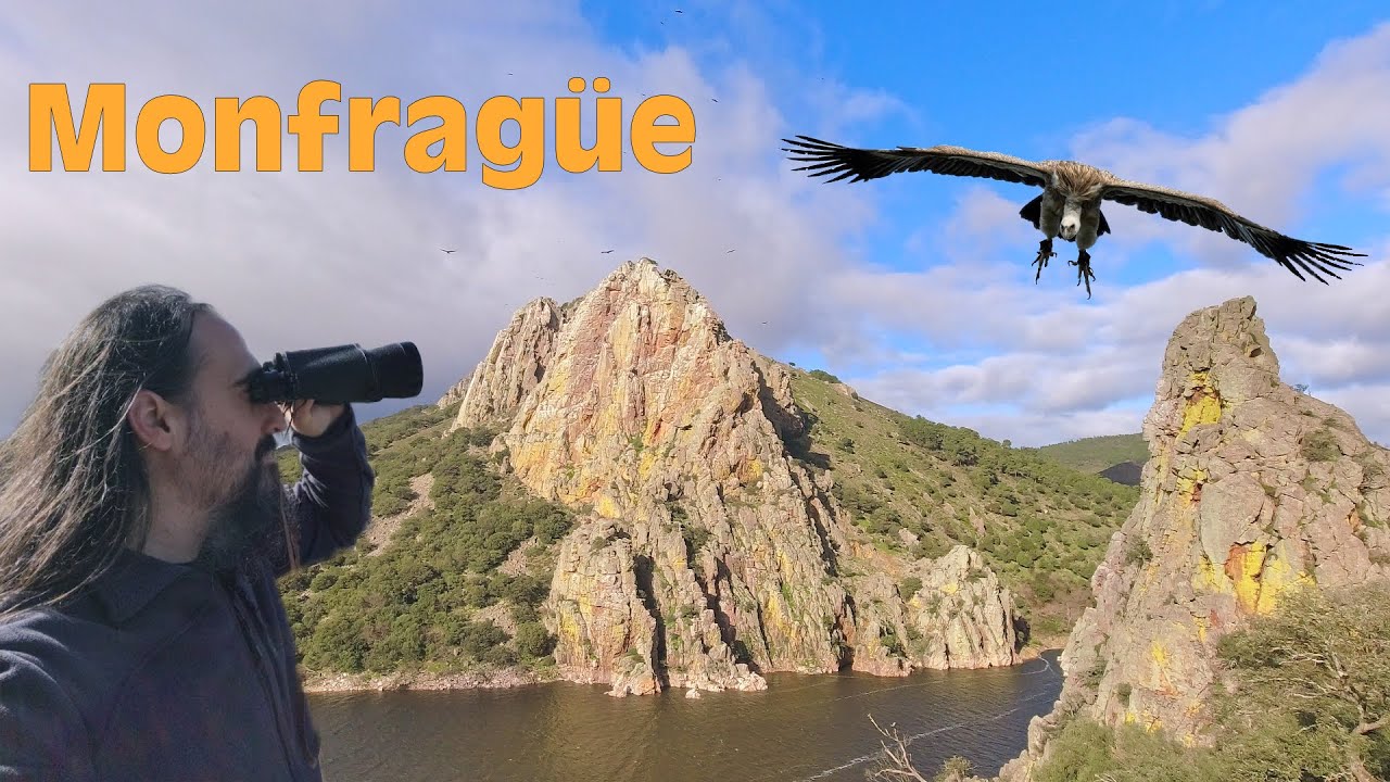 🦅Parque nacional de MONFRAGÜE y 8 de sus MIRADORES (buitres a lo bestia)