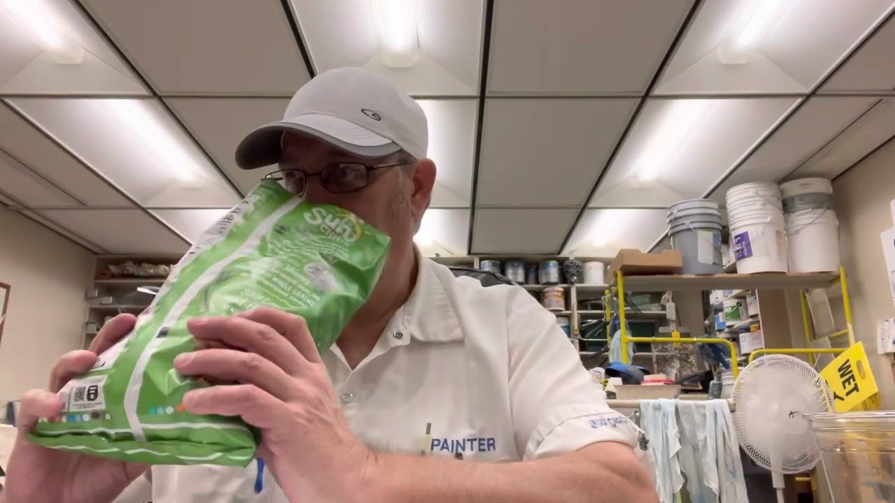 Sun Chips French Onion Flavored Chips(100% Whole Grain # The Beer Review Guy