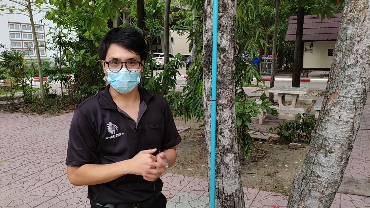 การวัดความสูงต้นไม้แบบไม่ใช้เครื่องมือ🌲