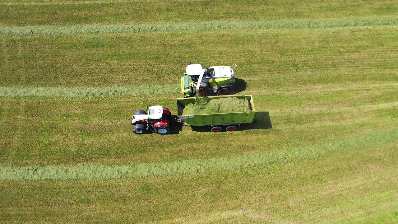 Luftaufnahmen von Zahmen mit Claas Jaguar beim Gras häckseln 2021