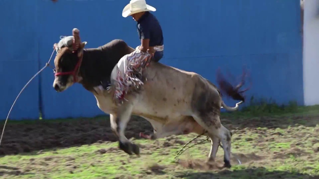 JARIPEO FIESTAS DEL REFUGIO 2018 QUERETARO