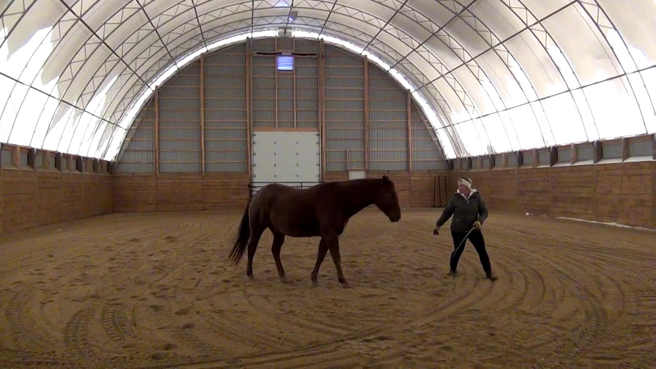 Customer Testimonial Northstar Livestock 62' x 140' Atlas Building Series Riding Arena