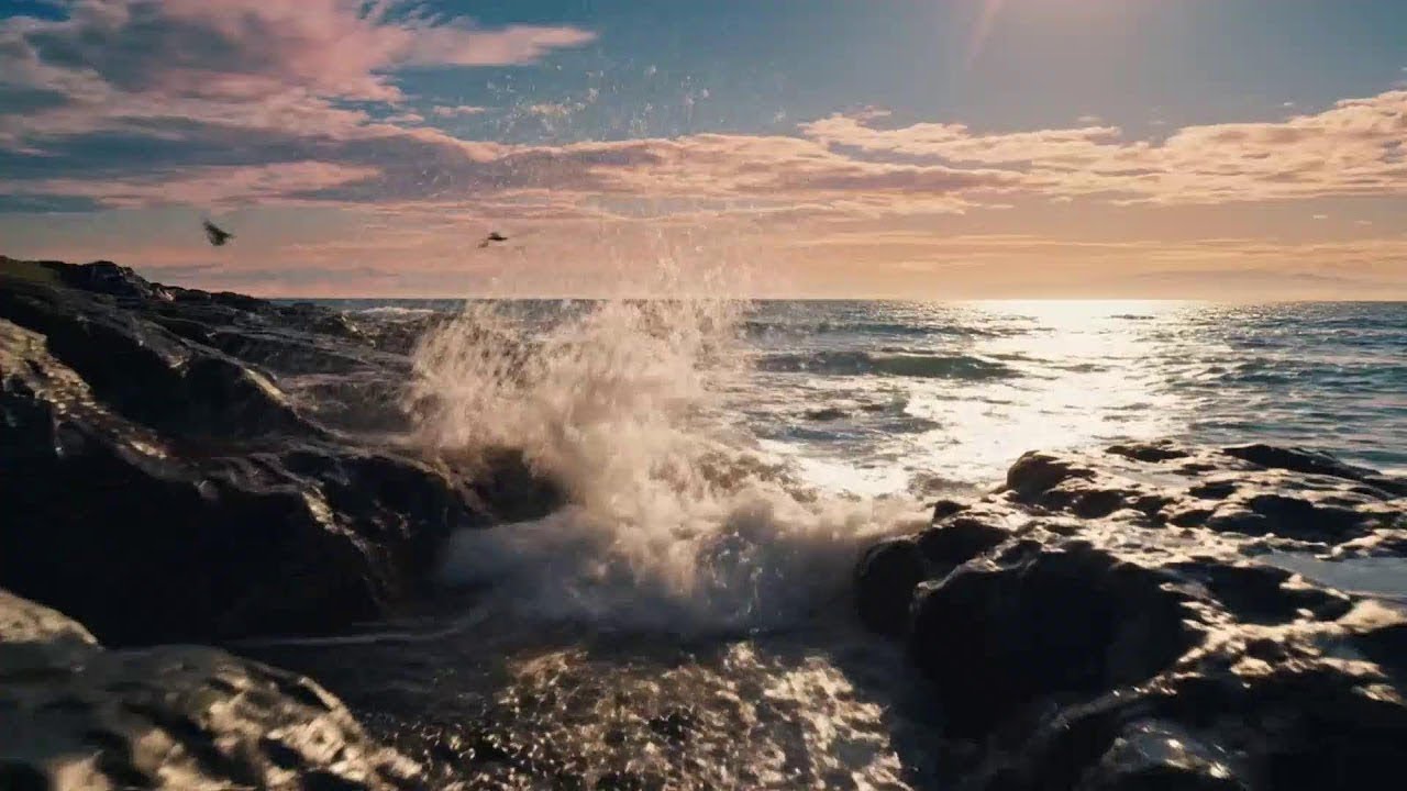 Pacific Wind EDM Chill &ndash; Deep House Mix for Positive Vibes 🌴💨