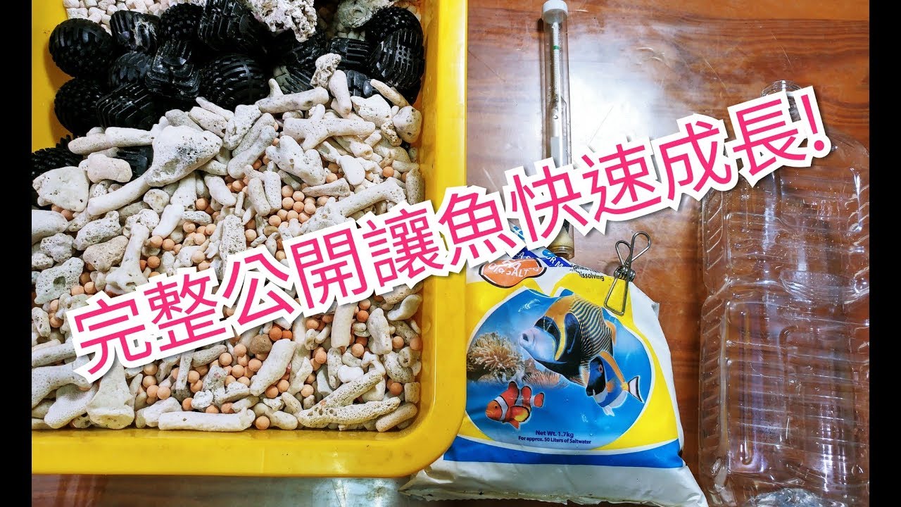 輕鬆養孔雀魚 (日常水族)簡易養小丑魚    讓孔雀魚飛速成長