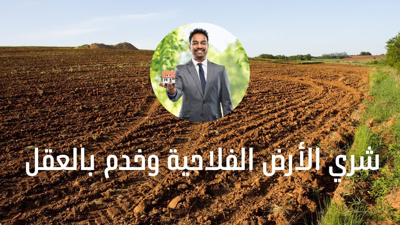 شراء الأرض وبداية مشروع فلاحي ناجح | قرار استثماري كيتطلب تخطيط ماشي تسرع!
