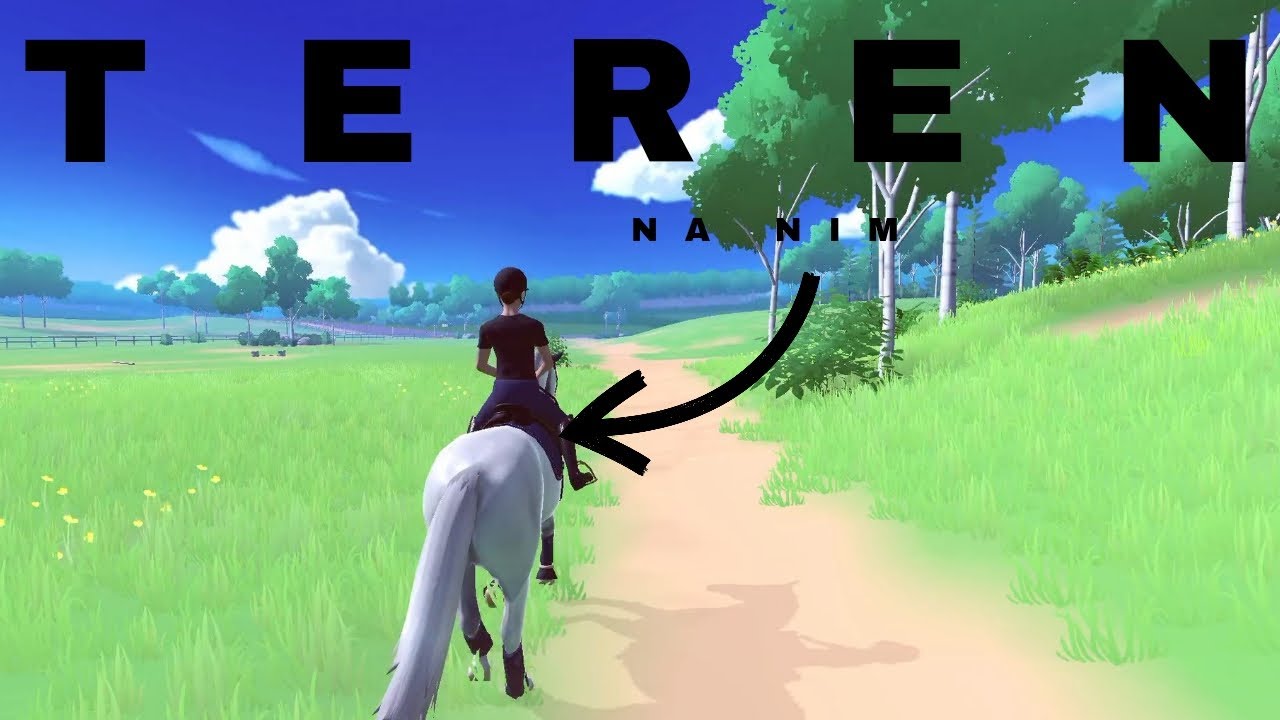 Teren w nasze tereny! | 11odc seeri 