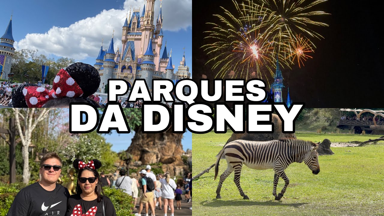 Dia de parque da Disney: Magic Kingdom, Animal Kingdom e muito mais!