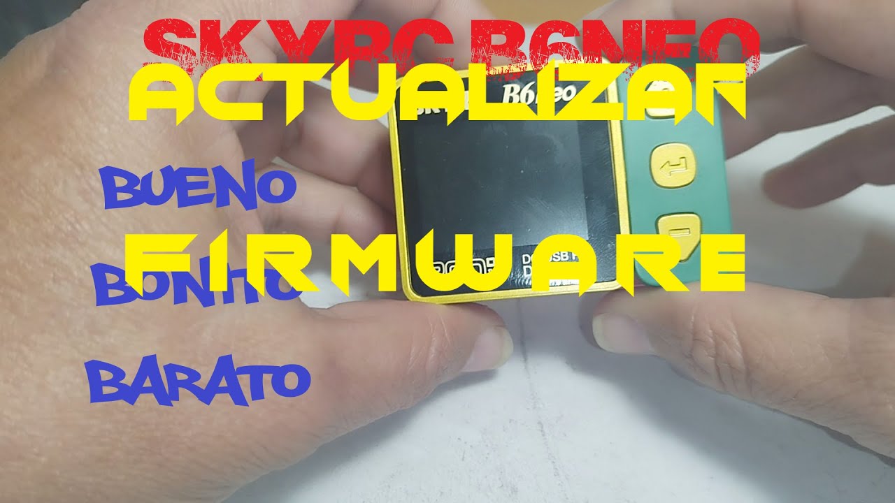 Actualizar cargador Skyrc B6Neo