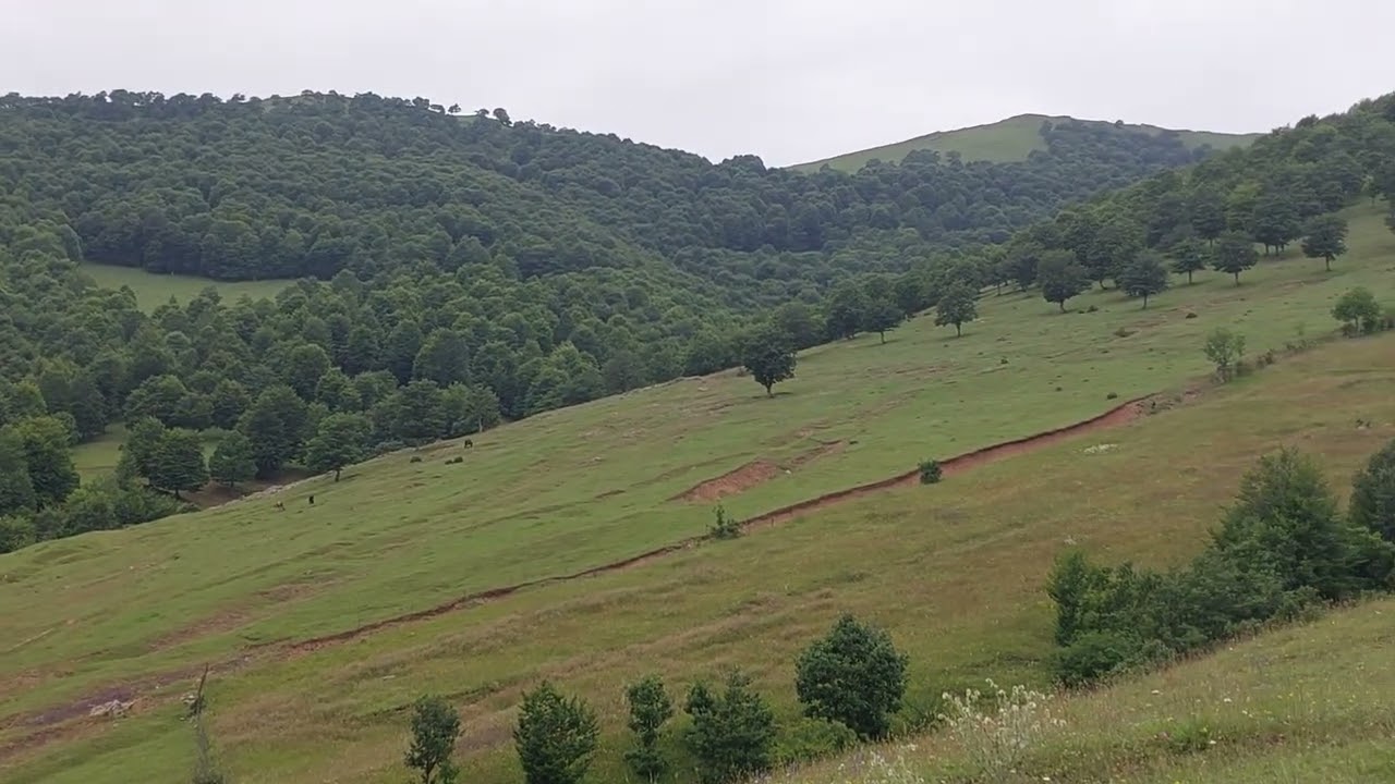 Şınıx (Kollu) kəndi Tümən dağının ətəyi. Təbiətin harmoniyası