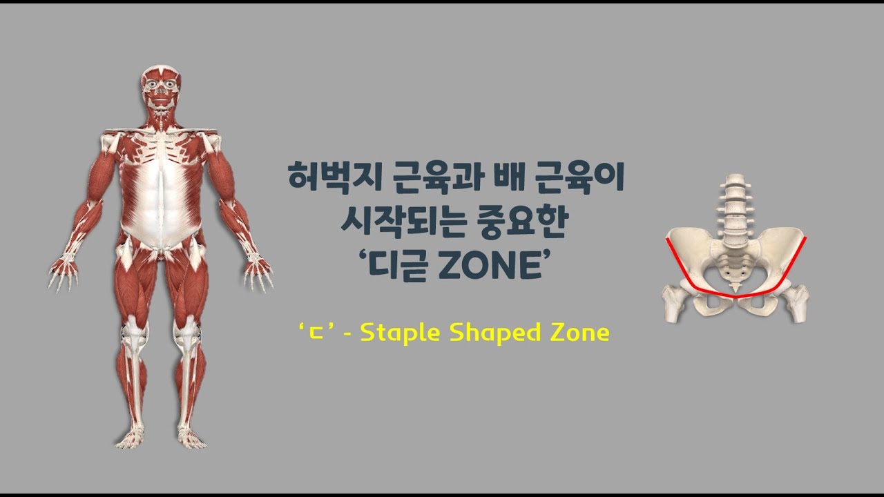 [ 마름모코어 시즌 3-18 ] 허벅지 근육과 배 근육이 시작되는 '디귿 존'을 써서 바로 걷기의 기본 잡기