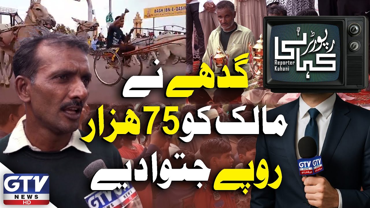 Donkey Wins Owner Rs 75,000 in Karachi Independence Day Race | Reporter Kahani | GTV News