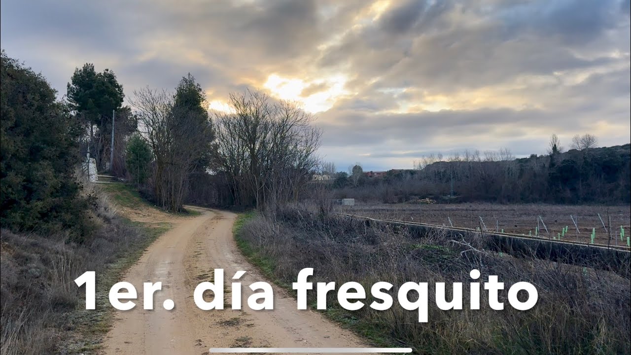 16 Camino de la Lana. Etapa 6. Alpera-Alatoz 26,5 Km. Ene-2026