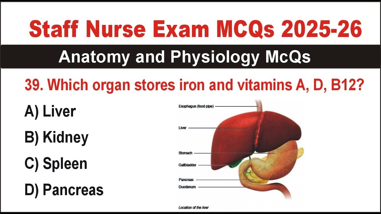 Staff Nursing Exam 2025 | Anatomy & Physiology MCQs with Answers | Top Nursing MCQs for Preparation