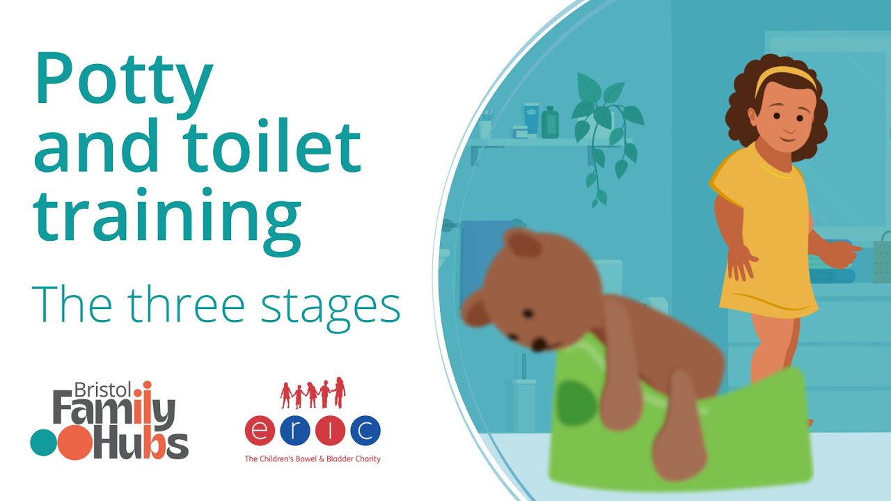 Potty and toilet training - the three stages (National version)