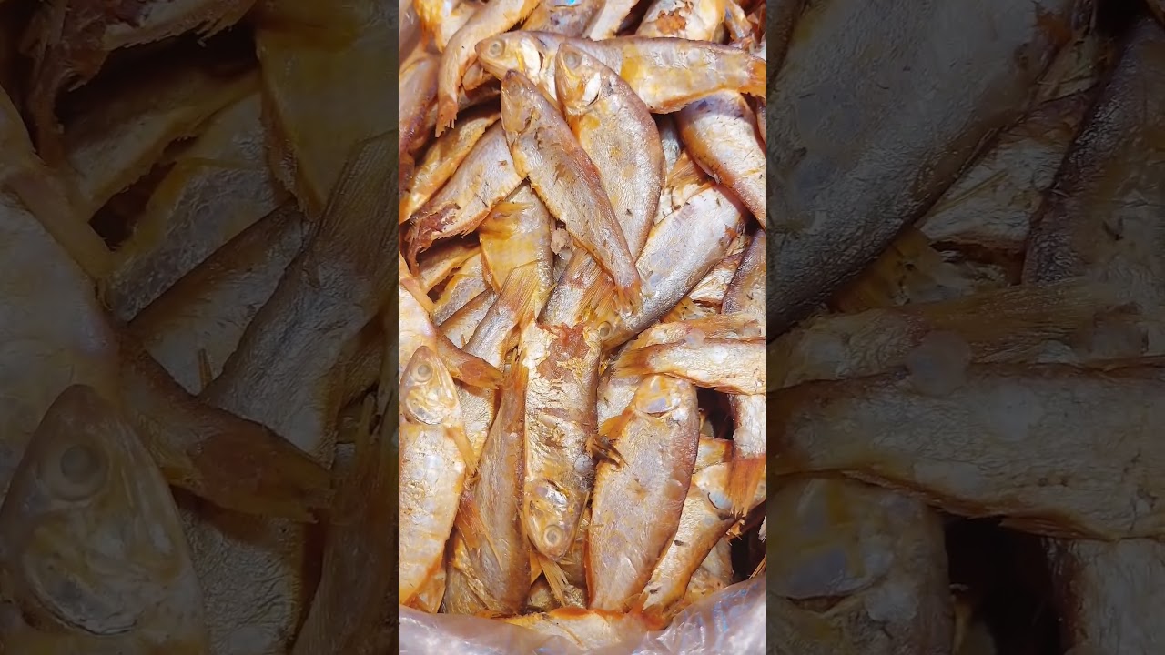 Part-1 Varities of Dry Fish/Shutki in Bangladesh | #shorts #dryfish #youtubeshorts #bangladesh